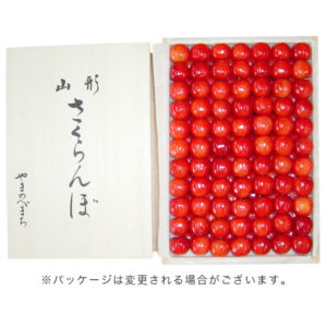 M10-KI