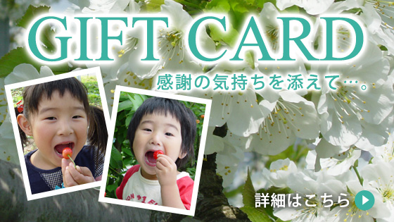 ギフトカード