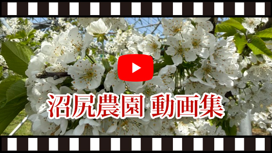 沼尻農園　動画集