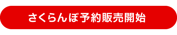 さくらんぼ予約販売開始