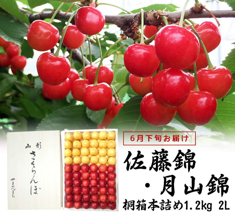 佐藤錦・月山錦桐箱1.2kg