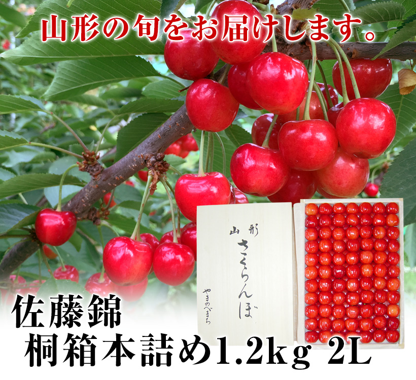 佐藤錦桐箱1.2kg