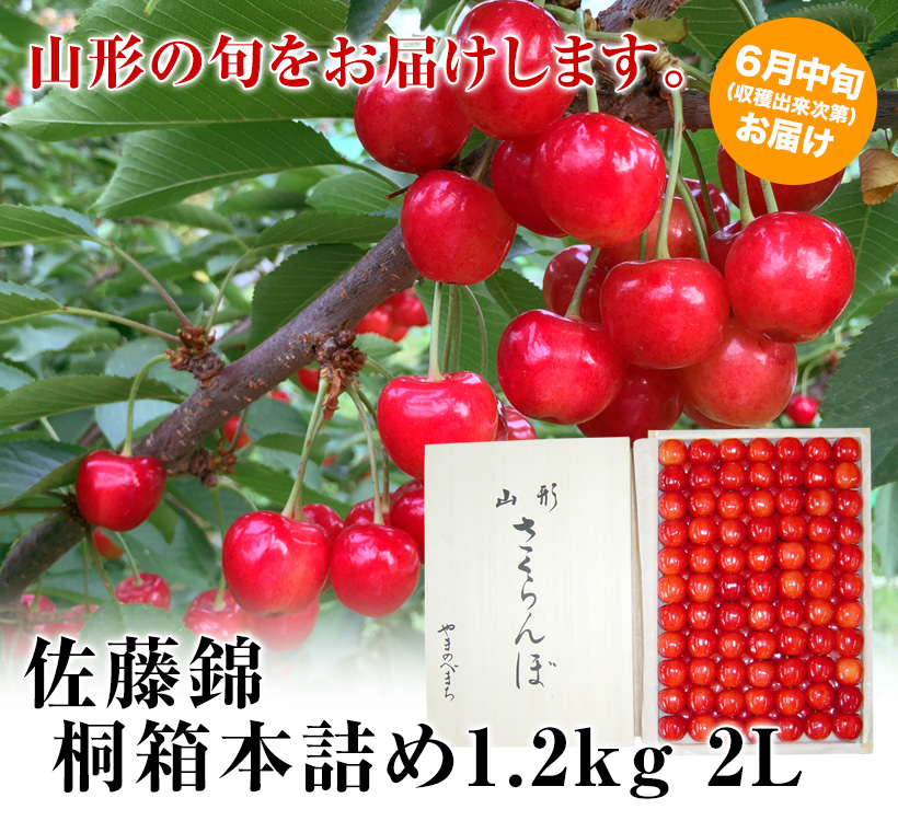 【父の日用】佐藤錦桐箱1.2kg