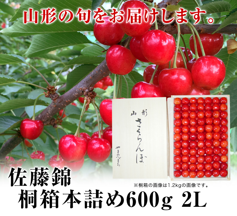 佐藤錦桐箱600g